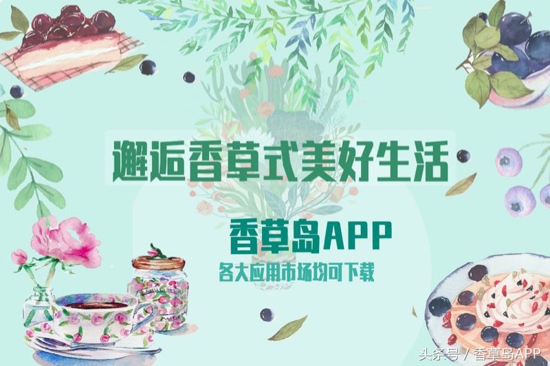 曾是西方炼金术师的宠儿，如今仍是“女士的斗篷”