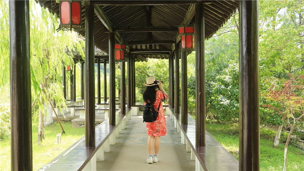 品农家菜,品农家美食