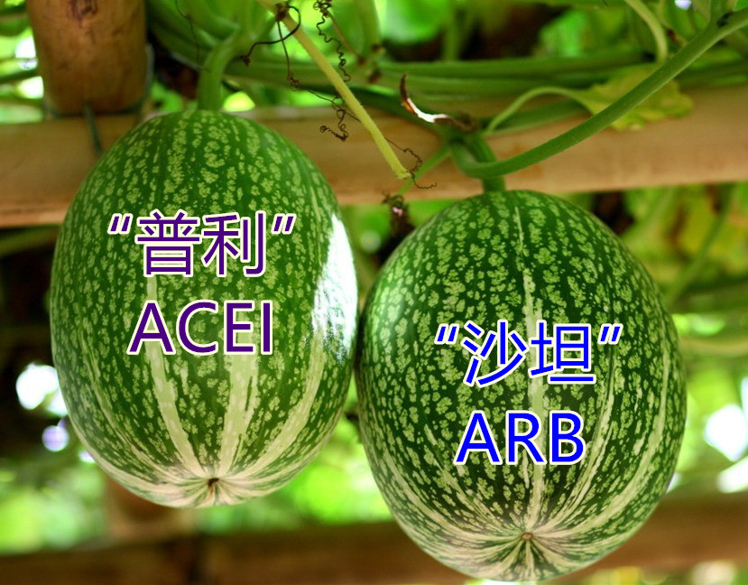 普利和沙坦降压哪种好,普利和沙坦降压效果