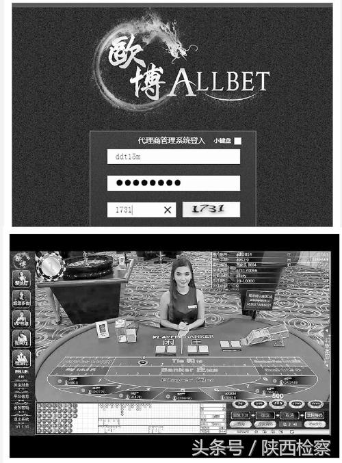 警方破获涉案10亿网络赌博案,警方侦破一起网络赌博案