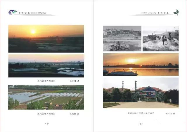 杨凌和杨陵什么关系,杨凌高凤香老师