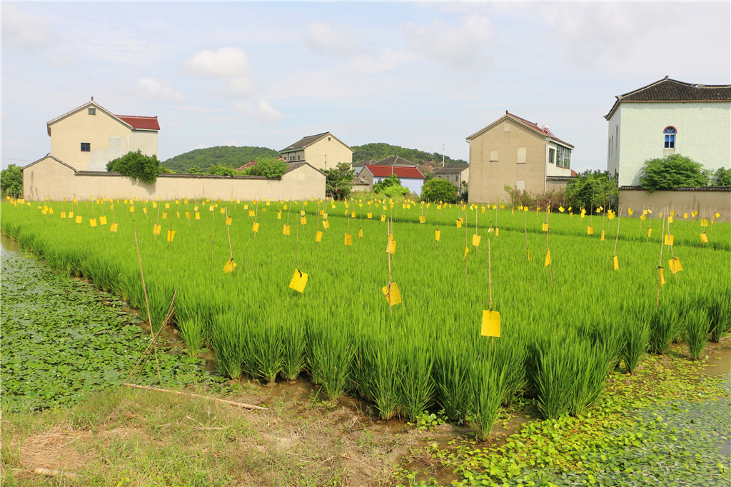 品山水美景房子,品农家菜