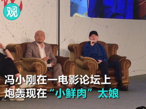 冯小刚谈小鲜肉的照片,冯小刚怒批小鲜肉
