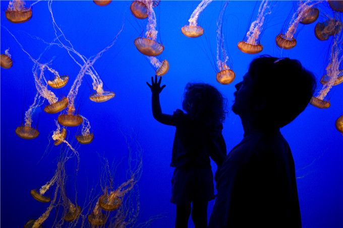 加州1号公路自驾路线图片,加州一号公路攻略从南往北