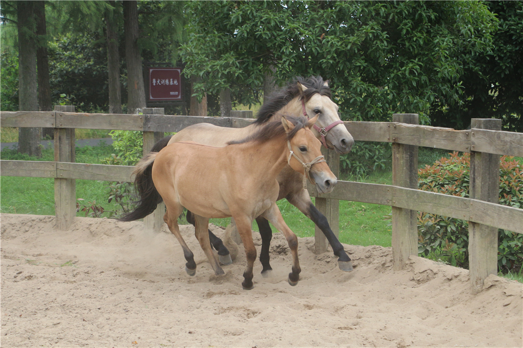 品农家菜,品农家美食