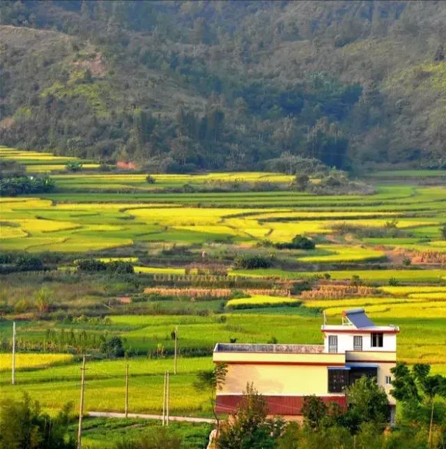 岭南九寨沟旅游攻略,广东自驾游去九寨沟攻略