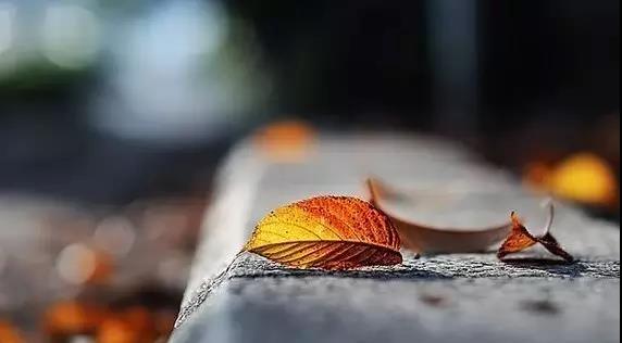 摄影小景深效果图,摄影景深知识大全