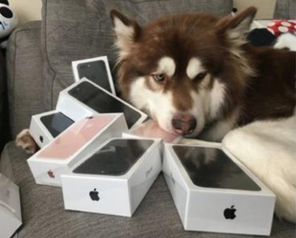 存款1000亿是什么水平,1000万存款能不能财务自由