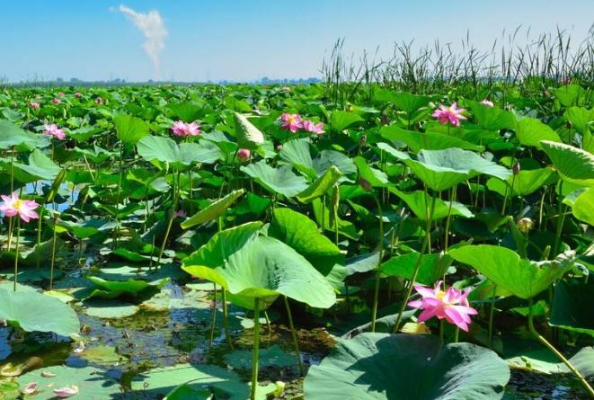 铁岭市铁岭县穷吗,铁岭穷吗