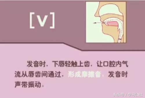 夏沫英语48个音标教学视频,英语音标教学视频48个快速记忆法