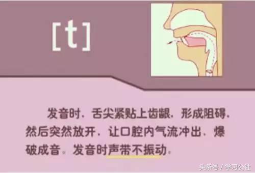 夏沫英语48个音标教学视频,英语音标教学视频48个快速记忆法