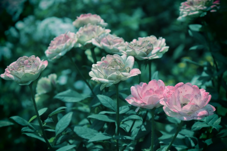 佳能eos200d相机介绍,佳能eos200dii单反相机