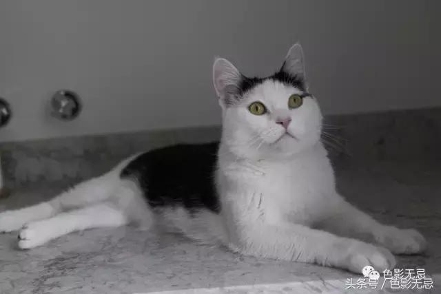 关于尼康d850的一些问答,尼康d850买回来怎么打开