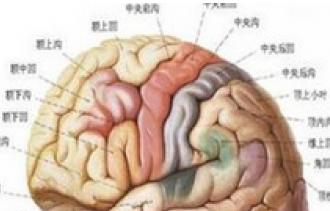 脑垂体腺瘤治疗最好的医院是哪里,脑垂体腺瘤中医怎么治疗