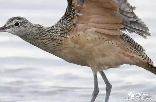 关于尼康d850的一些问答,尼康d850买回来怎么打开