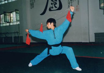 中国武术九连鞭,武术传统器械九节鞭动作方法