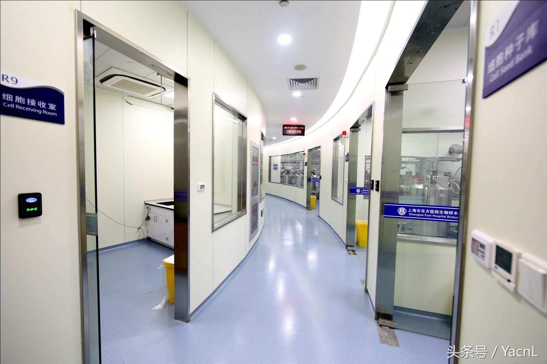 昆山准妈：越来越多的麻麻存起了胎盘你是否还拿来吃？