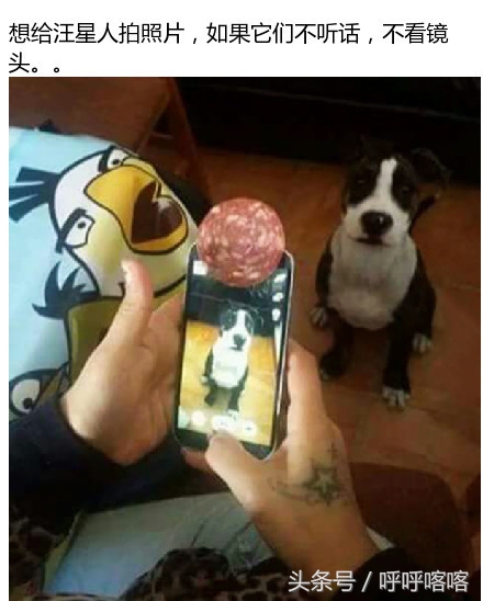 当科比遇到梅西,科比和梅西你会选择谁