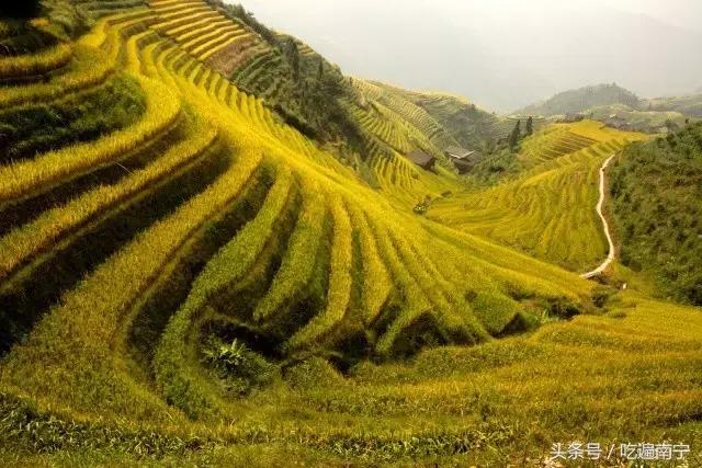 广西深秋好看的地方,广西的秋天哪里风景最美