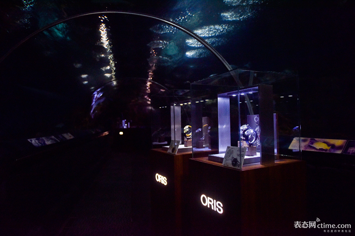 鐖嗘鎬т环姣旀渶楂樼殑闃叉按鎵嬭〃,鑻规灉娼滄按琛ㄥ灏戦挶