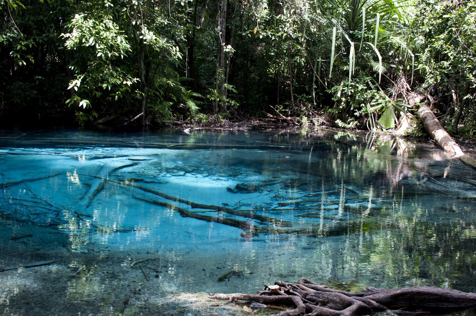 都是回不去的曾经,诺基亚最经典的是哪一个机型