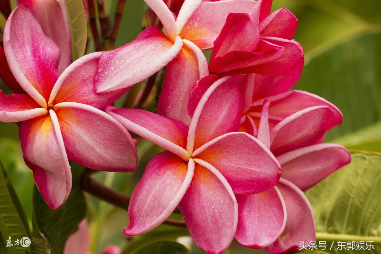 难以置信的100个冷门知识,国外生活必备100个冷门知识