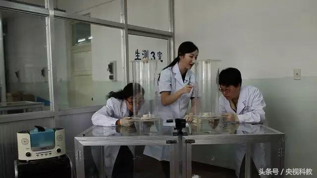 科学防蚊,实测防蚊最有效的方法