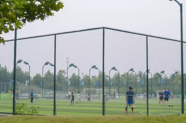 美丽的郑州北龙湖湿地公园,郑州北龙湖湿地公园初冬游记