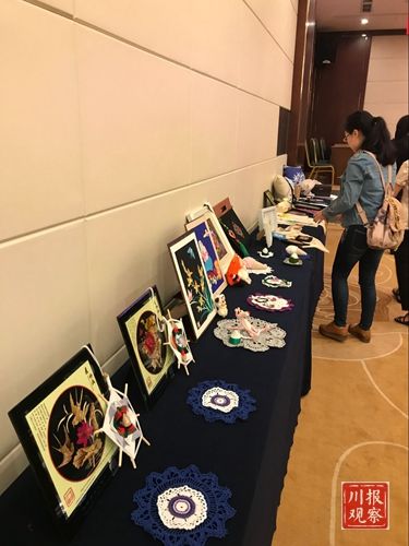 四川妇联启动女大学生创业微计划免费开展传统手工艺术培训