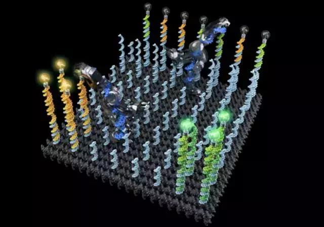 女科学家机器人视频,华裔女科学家加拿大