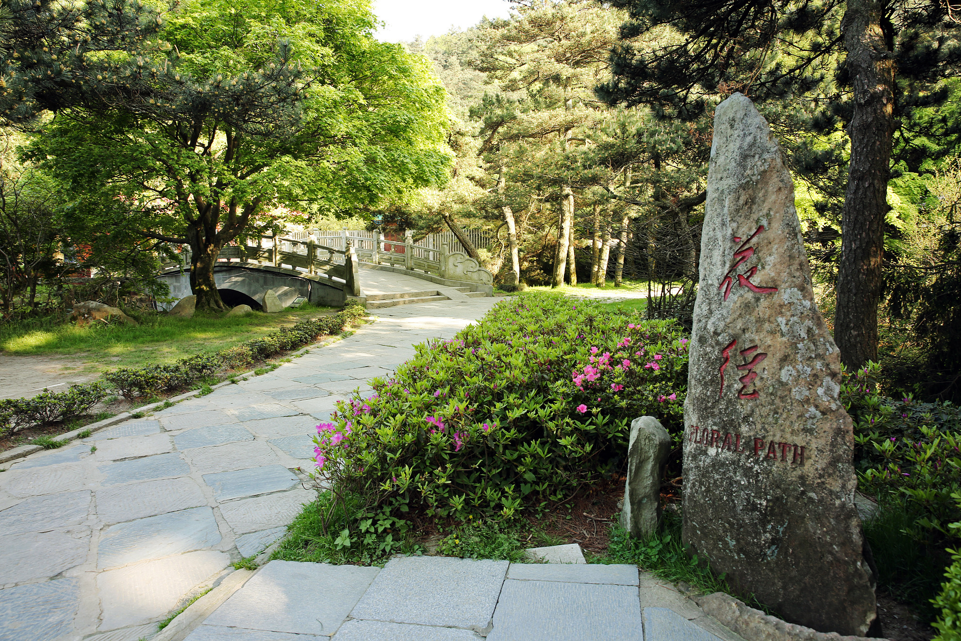 九江庐山自驾游怎么玩,在九江去庐山旅游攻略