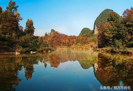 贵州遵义农业种植,在贵州做什么农业好赚钱