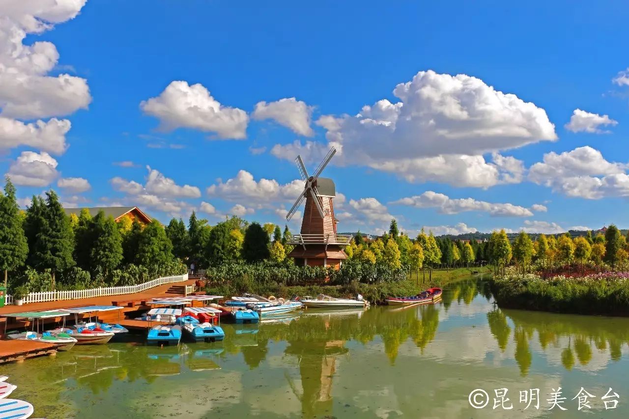 昆明捞鱼河公园万株野花如期绽放，国庆节踩烂2张共享单车也得去