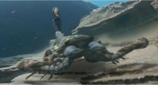 盘点灭绝又重生的远古巨兽,已经灭绝的远古海里的巨兽