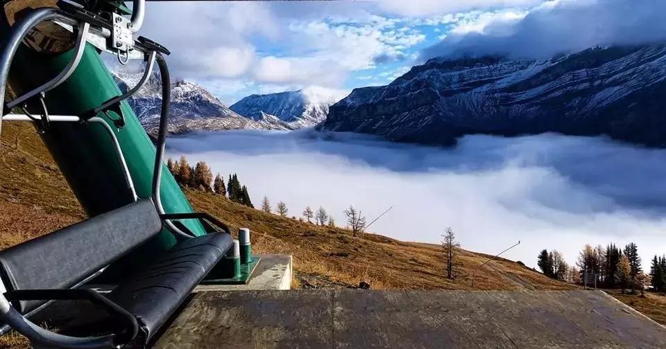 2018加拿大签证新政策是什么样的,2017加拿大签证攻略