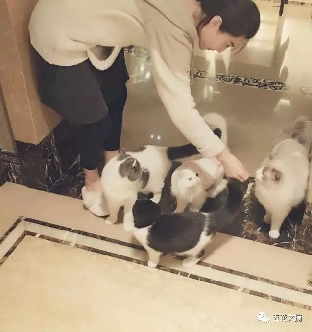 巨钻多少钱一颗,巨钻