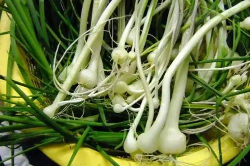 凯里人吃菜,凯里的野菜大全