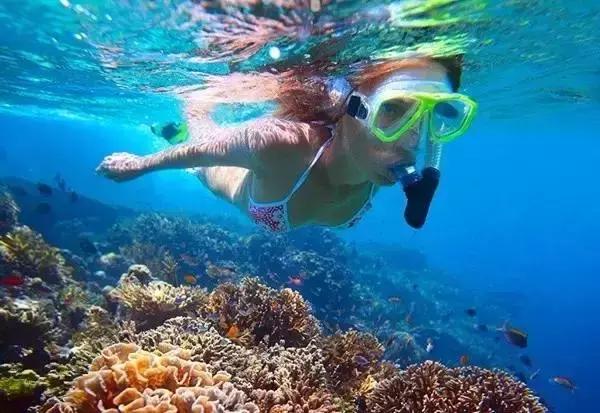 广州可以坐高铁去丽江吗,广州可以坐火车去越南吗