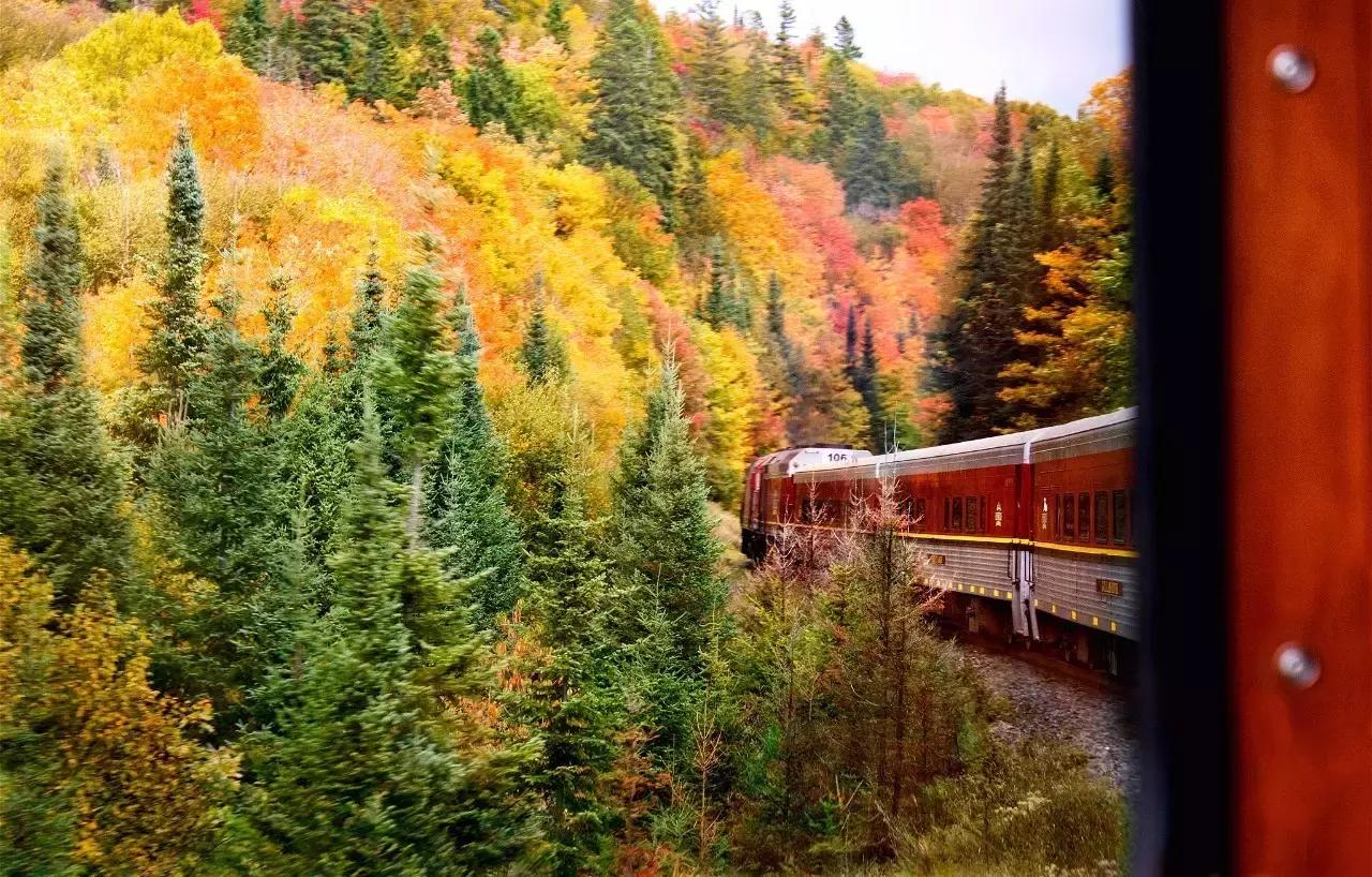 2018加拿大签证新政策是什么样的,2017加拿大签证攻略