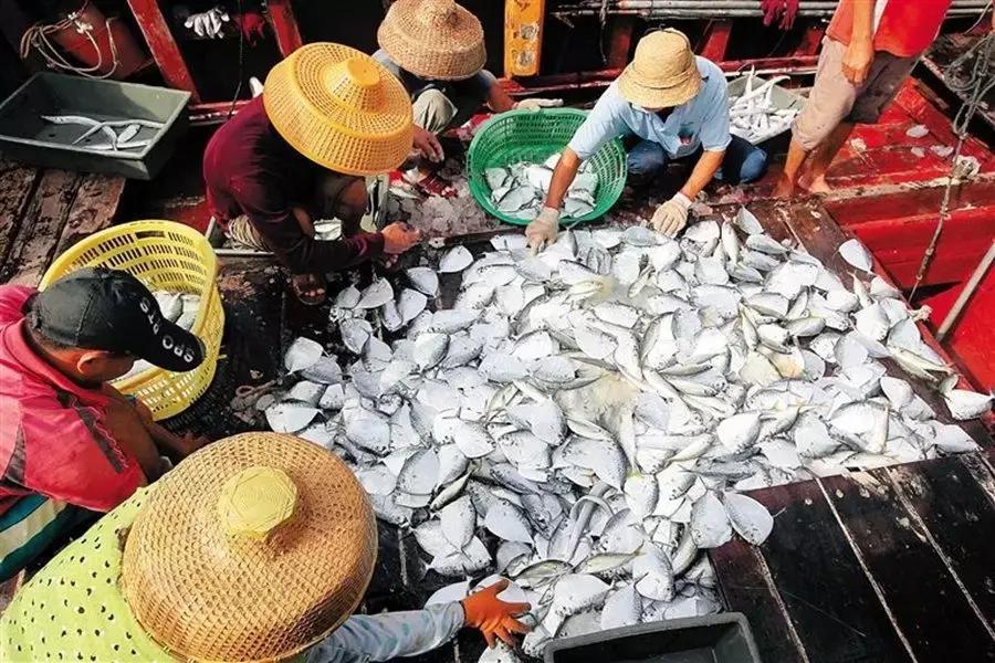 不网红不追星,不跟风不做爆款不做网红款