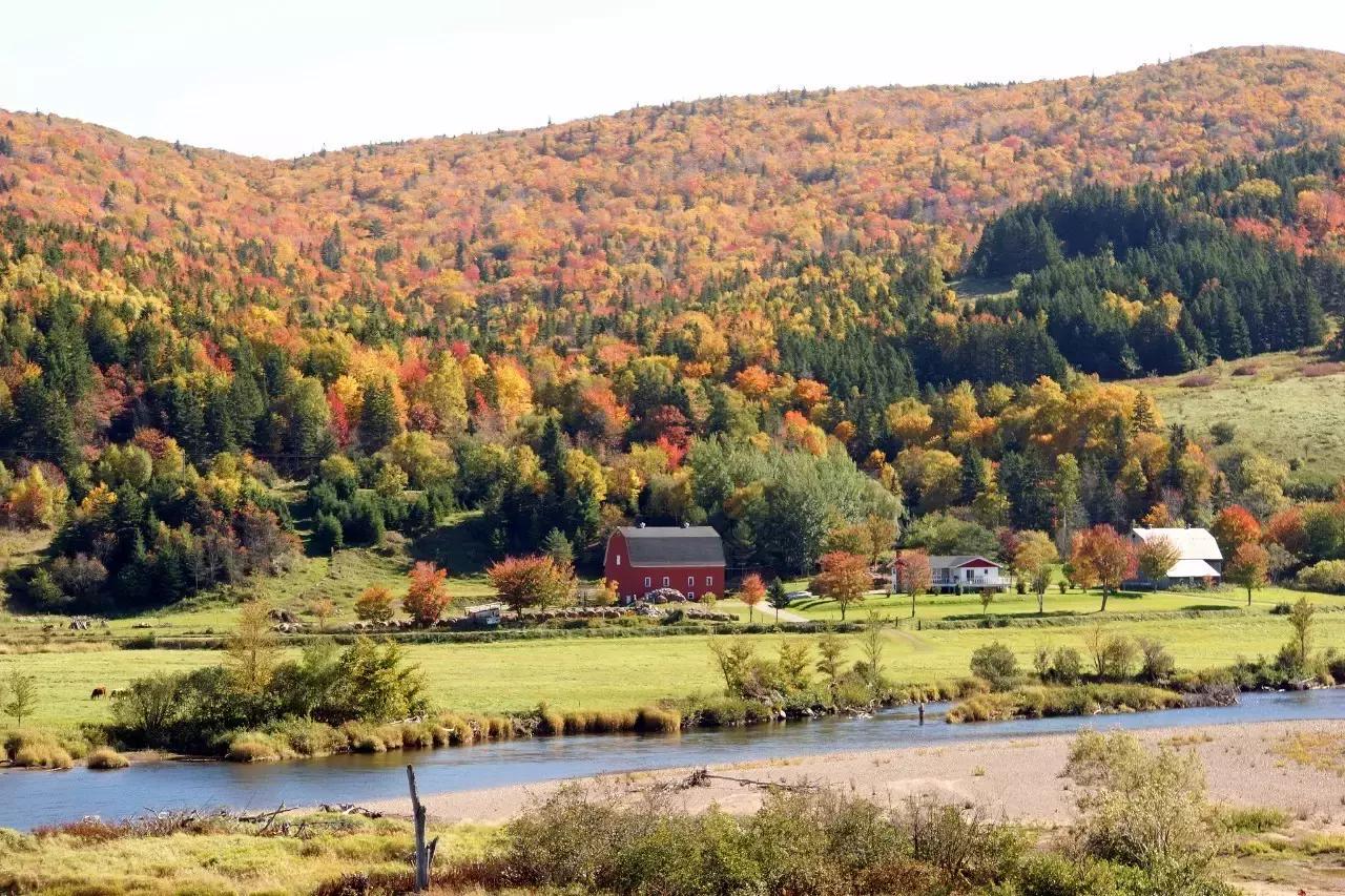 2018加拿大签证新政策是什么样的,2017加拿大签证攻略