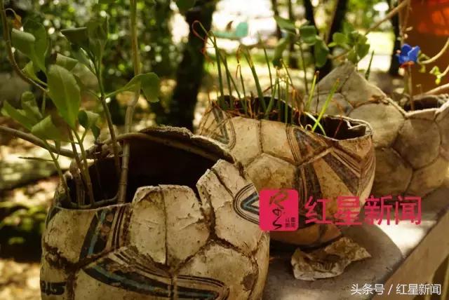 当足球教练前后的变化,当足球教练前后变化