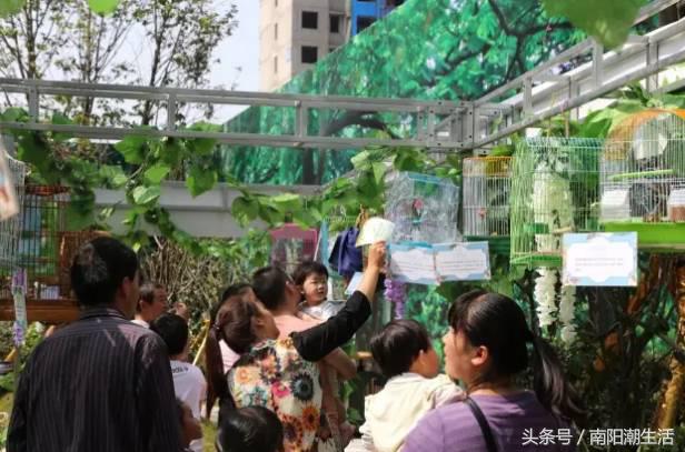 百鸟展门票,百鸟展门票早鸟票