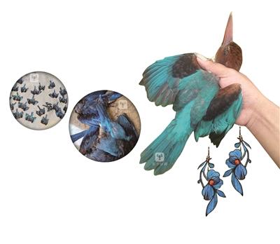 点翠的美丽与残忍,点翠为什么是残忍的