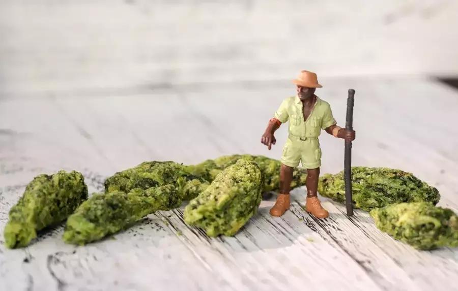 测了17款“网绿”香菜零食,种下了这几样草