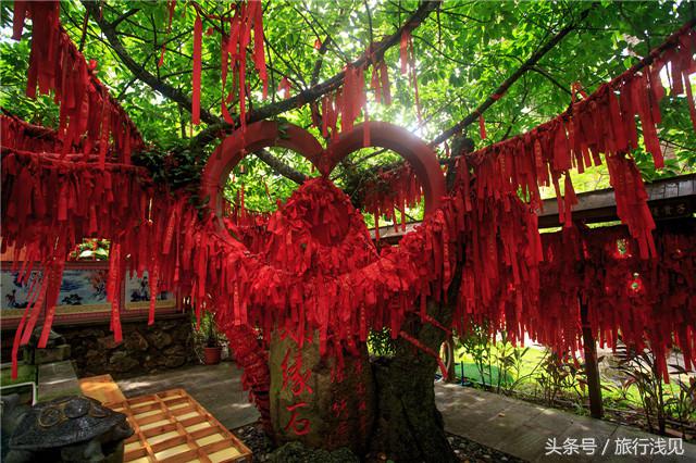 陪伴才是对孩子最好的祝福,陪伴才是给孩子最好的教育