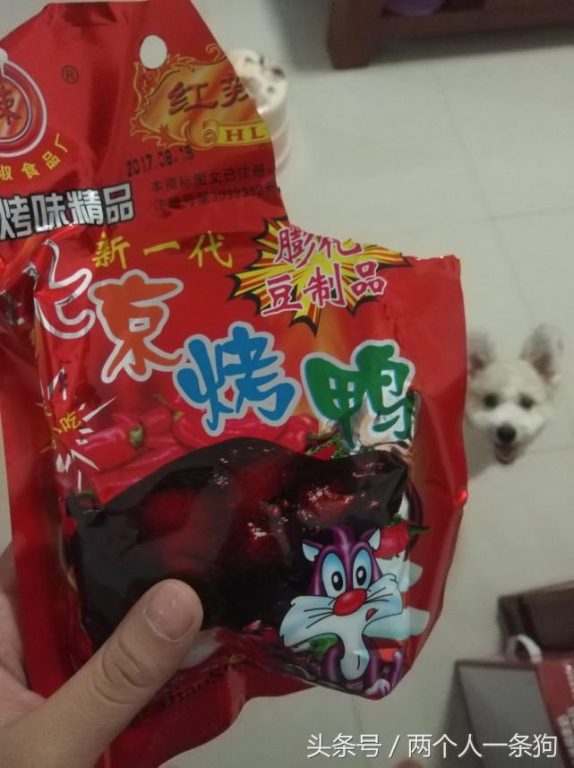 养一只挑食狗,养宠物狗挑食怎么办