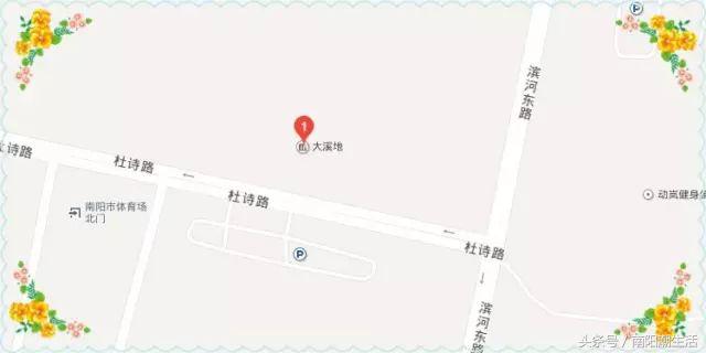 百鸟展门票,百鸟展门票早鸟票