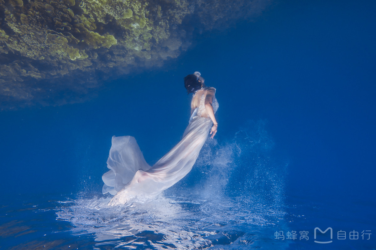 帕劳出海环岛旅游攻略,帕劳旅行攻略大全最新