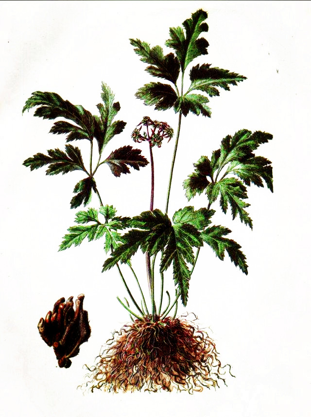 顽固性的咳嗽吃什么药效果好,顽固性的咳嗽怎么办